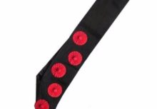 Masonic sash - AASR - 9th degree