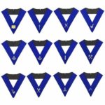 Lodge Officers Machine Embroidery Collars (1 unit)